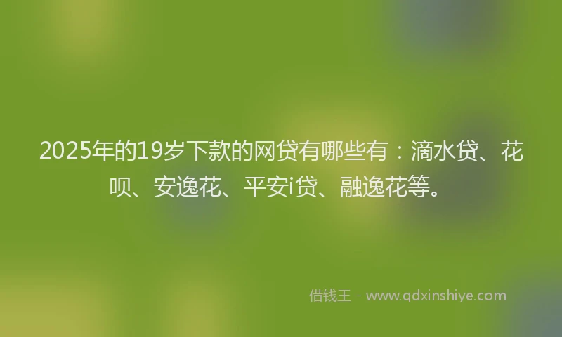 2025年的19岁下款的网贷有哪些有：滴水贷、花呗、安逸花、平安i贷、融逸花等。