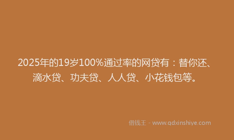 2025年的19岁100%通过率的网贷有：替你还、滴水贷、功夫贷、人人贷、小花钱包等。