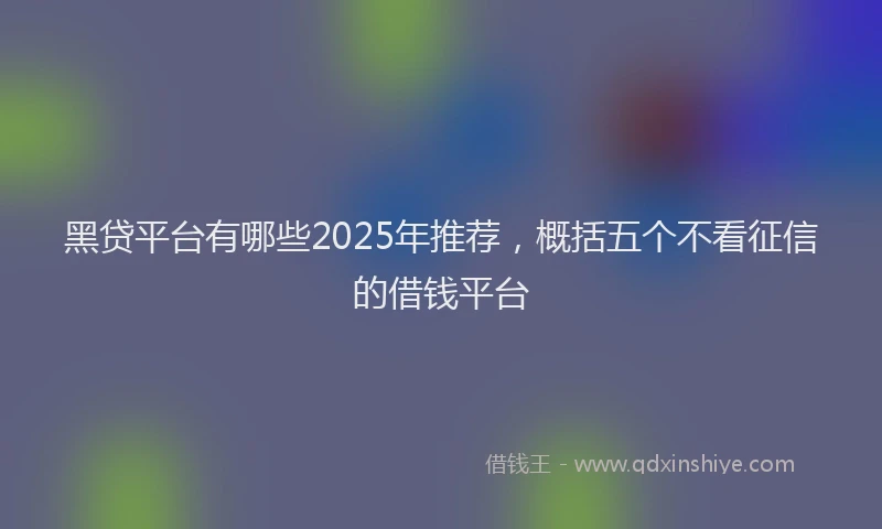 黑贷平台有哪些2025年推荐，概括五个不看征信的借钱平台