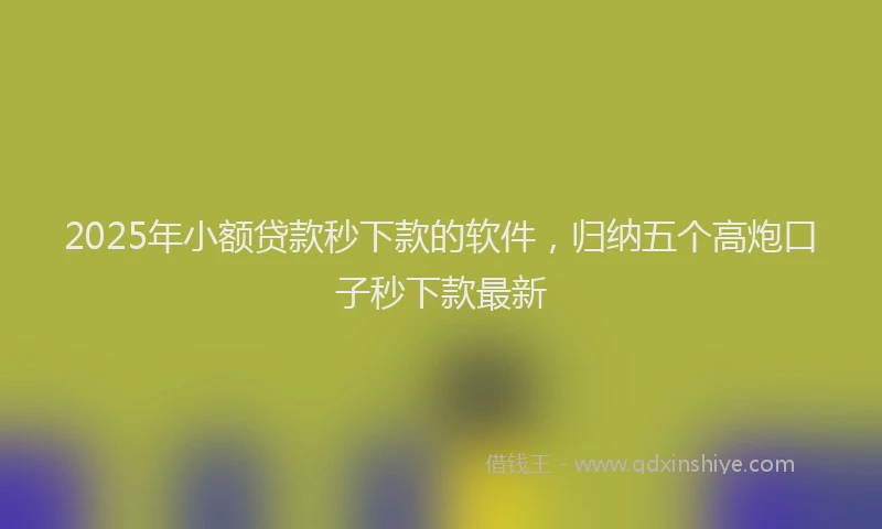2025年小额贷款秒下款的软件，归纳五个高炮口子秒下款最新