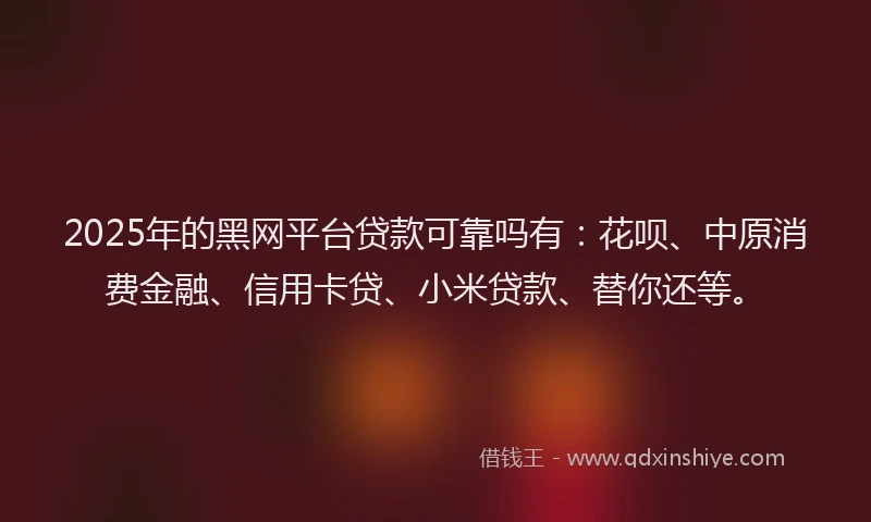 2025年的黑网平台贷款可靠吗有：花呗、中原消费金融、信用卡贷、小米贷款、替你还等。
