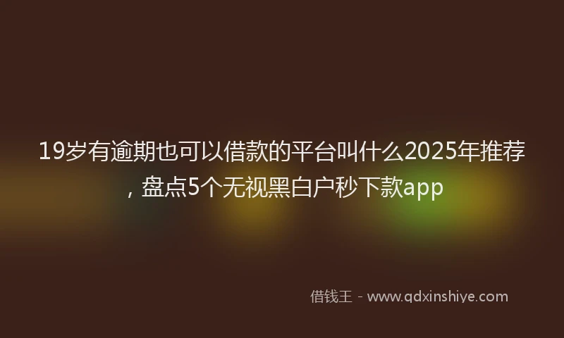 19岁有逾期也可以借款的平台叫什么2025年推荐，盘点5个无视黑白户秒下款app