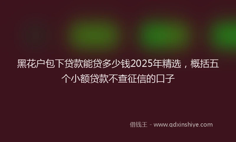 黑花户包下贷款能贷多少钱2025年精选，概括五个小额贷款不查征信的口子