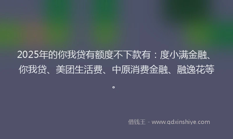 2025年的你我贷有额度不下款有：度小满金融、你我贷、美团生活费、中原消费金融、融逸花等。