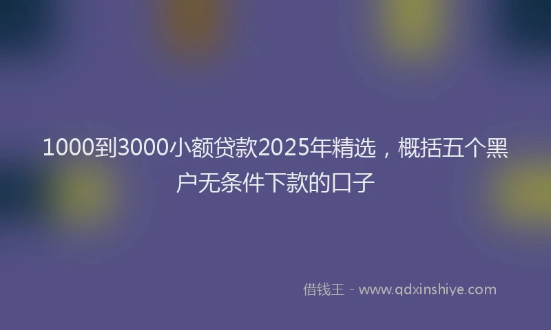 1000到3000小额贷款2025年精选，概括五个黑户无条件下款的口子