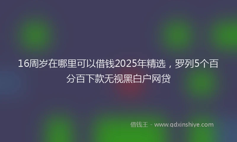 16周岁在哪里可以借钱2025年精选，罗列5个百分百下款无视黑白户网贷