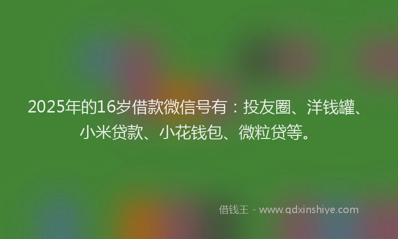 2025年的16岁借款微信号有：投友圈、洋钱罐、小米贷款、小花钱包、微粒贷等。
