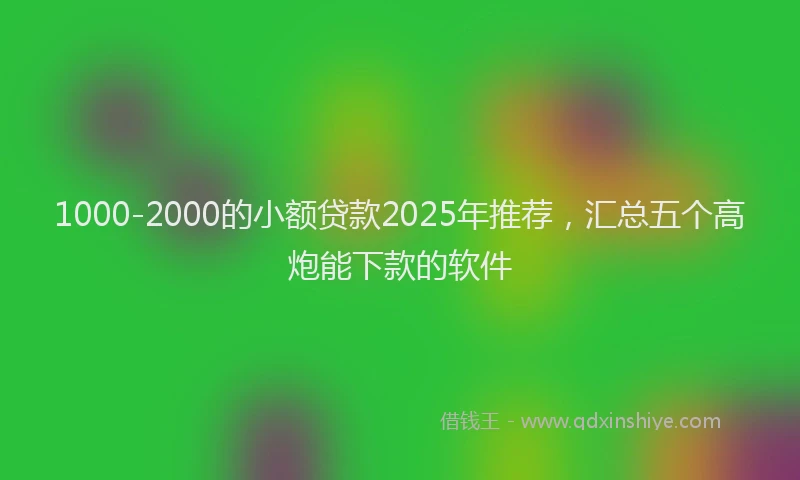 1000-2000的小额贷款2025年推荐，汇总五个高炮能下款的软件