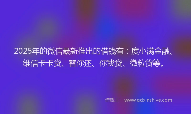2025年的微信最新推出的借钱有：度小满金融、维信卡卡贷、替你还、你我贷、微粒贷等。