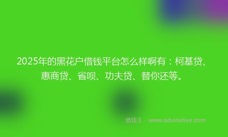 2025年的黑花户借钱平台怎么样啊有：柯基贷、惠商贷、省呗、功夫贷、替你还等。