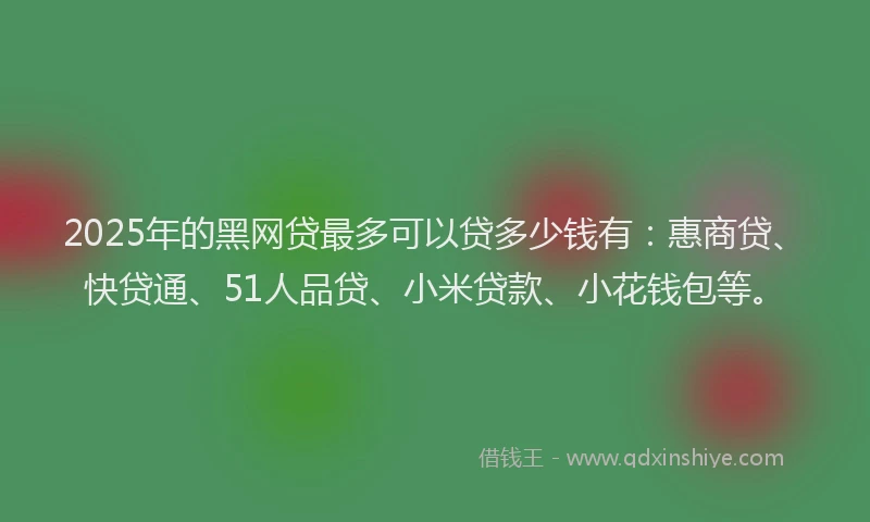 2025年的黑网贷最多可以贷多少钱有：惠商贷、快贷通、51人品贷、小米贷款、小花钱包等。