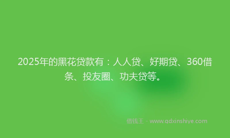 2025年的黑花贷款有：人人贷、好期贷、360借条、投友圈、功夫贷等。
