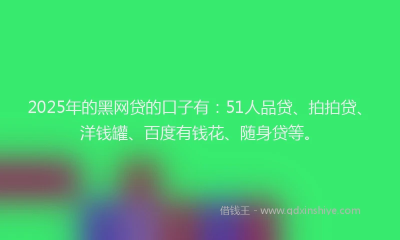 2025年的黑网贷的口子有：51人品贷、拍拍贷、洋钱罐、百度有钱花、随身贷等。