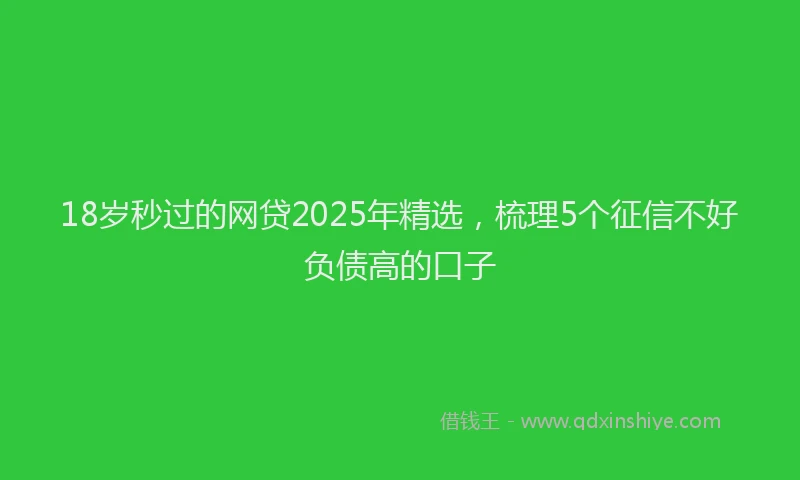 18岁秒过的网贷2025年精选，梳理5个征信不好负债高的口子