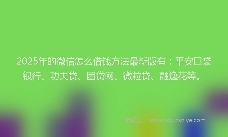 2025年的微信怎么借钱方法最新版有：平安口袋银行、功夫贷、团贷网、微粒贷、融逸花等。
