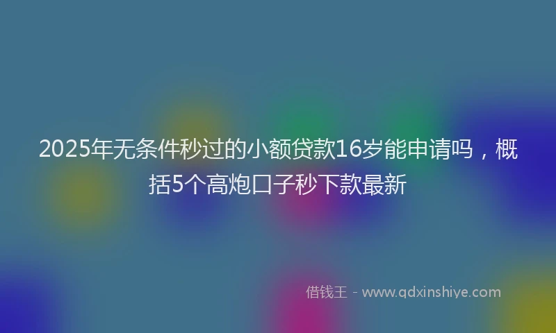 2025年无条件秒过的小额贷款16岁能申请吗，概括5个高炮口子秒下款最新
