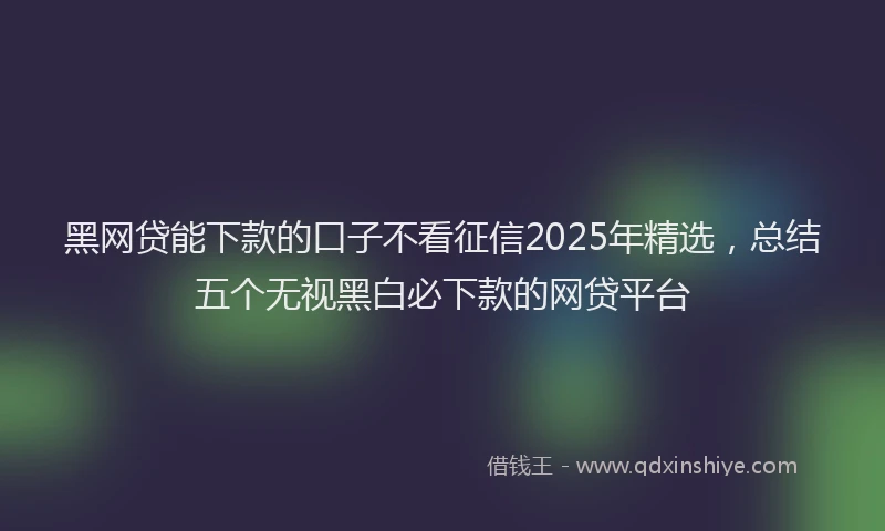 黑网贷能下款的口子不看征信2025年精选，总结五个无视黑白必下款的网贷平台
