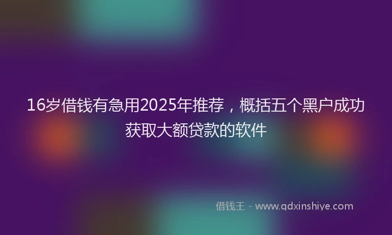16岁借钱有急用2025年推荐，概括五个黑户成功获取大额贷款的软件