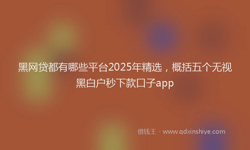 黑网贷都有哪些平台2025年精选，概括五个无视黑白户秒下款口子app