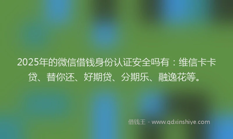 2025年的微信借钱身份认证安全吗有：维信卡卡贷、替你还、好期贷、分期乐、融逸花等。