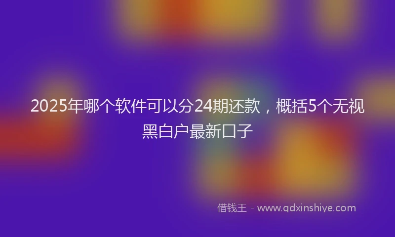 2025年哪个软件可以分24期还款，概括5个无视黑白户最新口子