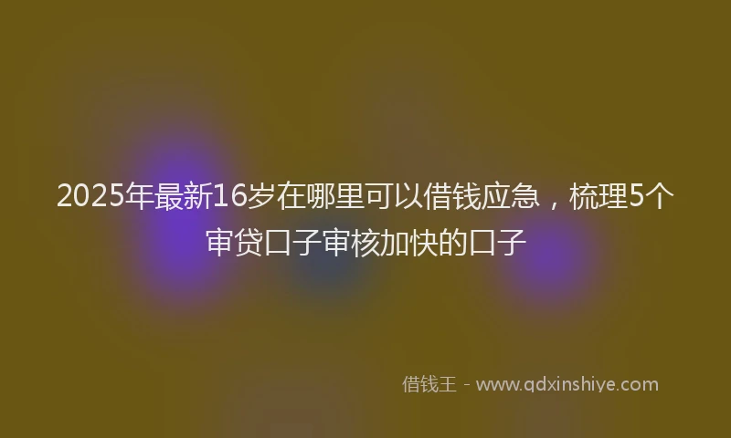 2025年最新16岁在哪里可以借钱应急，梳理5个审贷口子审核加快的口子