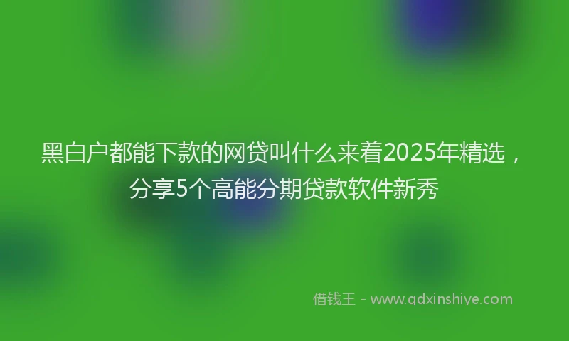 黑白户都能下款的网贷叫什么来着2025年精选，分享5个高能分期贷款软件新秀