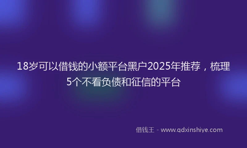 18岁可以借钱的小额平台黑户2025年推荐，梳理5个不看负债和征信的平台