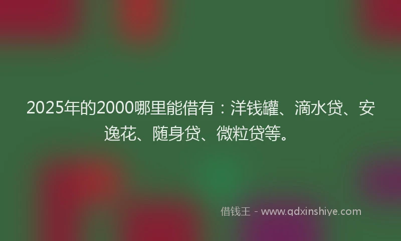 2025年的2000哪里能借有：洋钱罐、滴水贷、安逸花、随身贷、微粒贷等。