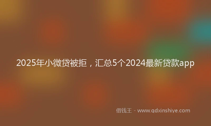 2025年小微贷被拒，汇总5个2024最新贷款app
