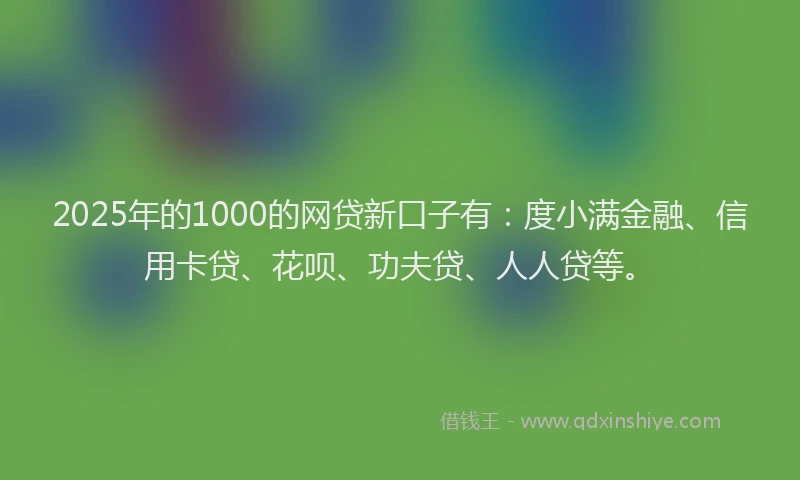 2025年的1000的网贷新口子有：度小满金融、信用卡贷、花呗、功夫贷、人人贷等。