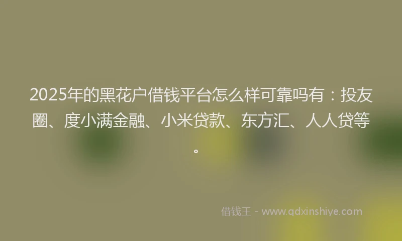 2025年的黑花户借钱平台怎么样可靠吗有：投友圈、度小满金融、小米贷款、东方汇、人人贷等。