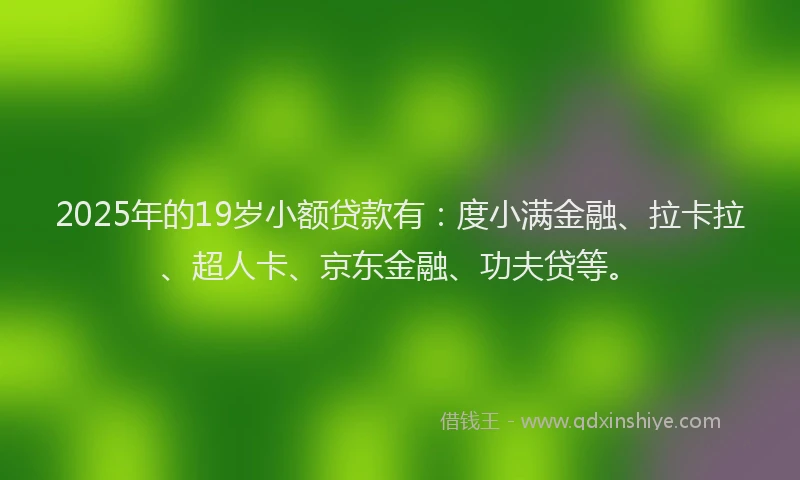 2025年的19岁小额贷款有：度小满金融、拉卡拉、超人卡、京东金融、功夫贷等。