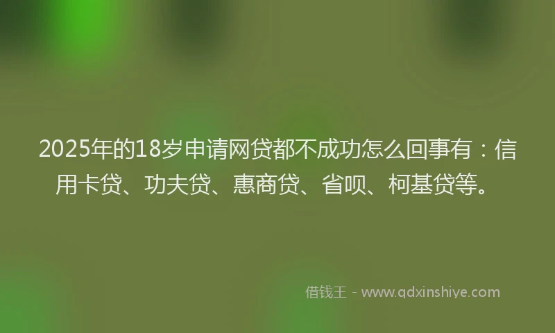 2025年的18岁申请网贷都不成功怎么回事有：信用卡贷、功夫贷、惠商贷、省呗、柯基贷等。