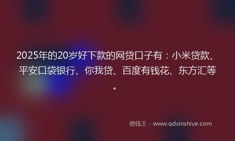 2025年的20岁好下款的网贷口子有：小米贷款、平安口袋银行、你我贷、百度有钱花、东方汇等。