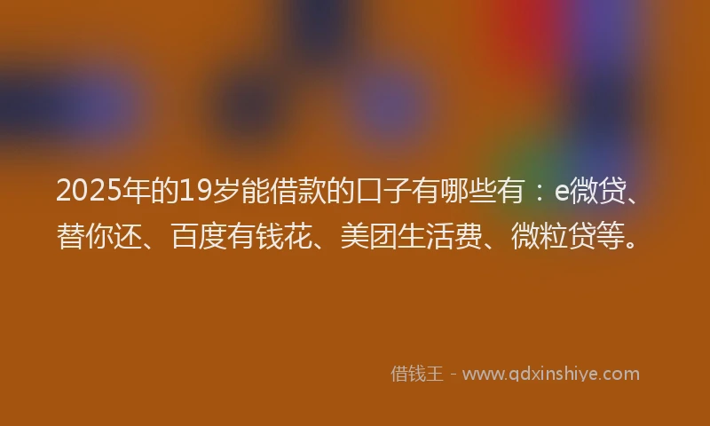 2025年的19岁能借款的口子有哪些有：e微贷、替你还、百度有钱花、美团生活费、微粒贷等。