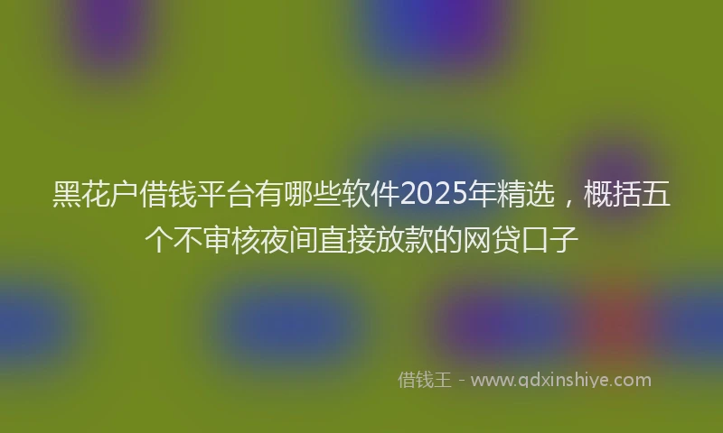 黑花户借钱平台有哪些软件2025年精选，概括五个不审核夜间直接放款的网贷口子