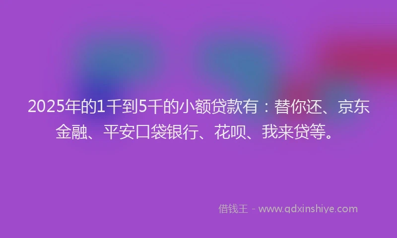 2025年的1千到5千的小额贷款有：替你还、京东金融、平安口袋银行、花呗、我来贷等。
