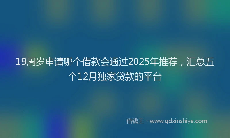 19周岁申请哪个借款会通过2025年推荐，汇总五个12月独家贷款的平台