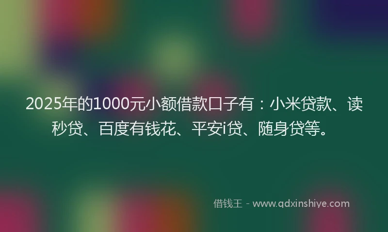 2025年的1000元小额借款口子有：小米贷款、读秒贷、百度有钱花、平安i贷、随身贷等。