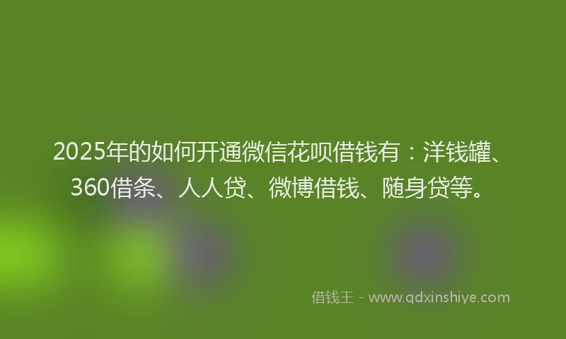 2025年的如何开通微信花呗借钱有：洋钱罐、360借条、人人贷、微博借钱、随身贷等。