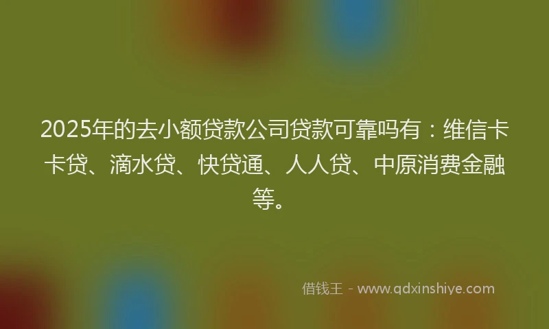 2025年的去小额贷款公司贷款可靠吗有：维信卡卡贷、滴水贷、快贷通、人人贷、中原消费金融等。