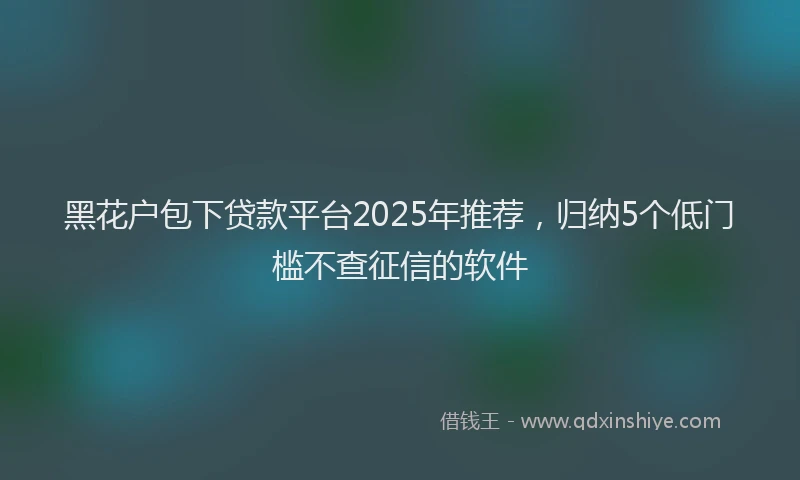 黑花户包下贷款平台2025年推荐，归纳5个低门槛不查征信的软件