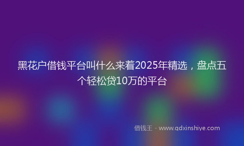 黑花户借钱平台叫什么来着2025年精选，盘点五个轻松贷10万的平台
