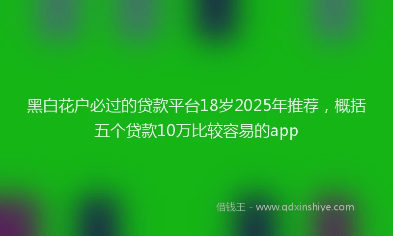 黑白花户必过的贷款平台18岁2025年推荐，概括五个贷款10万比较容易的app