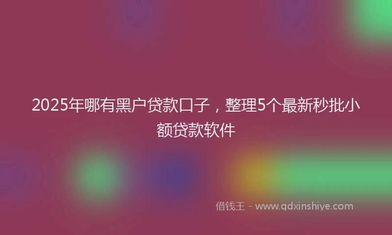2025年哪有黑户贷款口子，整理5个最新秒批小额贷款软件