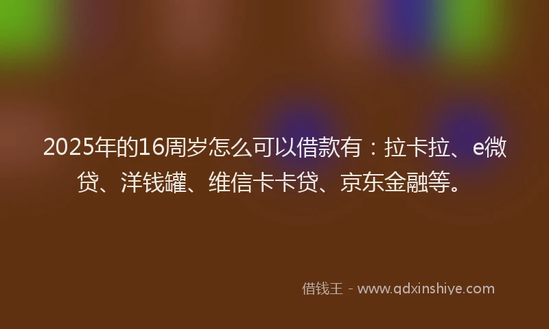 2025年的16周岁怎么可以借款有：拉卡拉、e微贷、洋钱罐、维信卡卡贷、京东金融等。