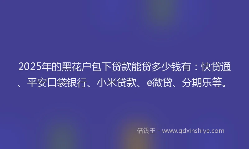 2025年的黑花户包下贷款能贷多少钱有：快贷通、平安口袋银行、小米贷款、e微贷、分期乐等。