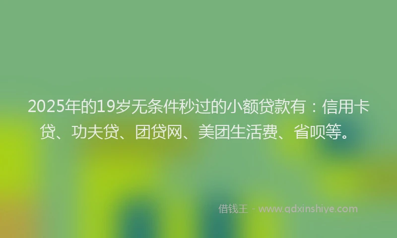 2025年的19岁无条件秒过的小额贷款有：信用卡贷、功夫贷、团贷网、美团生活费、省呗等。