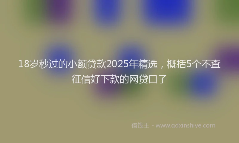 18岁秒过的小额贷款2025年精选，概括5个不查征信好下款的网贷口子